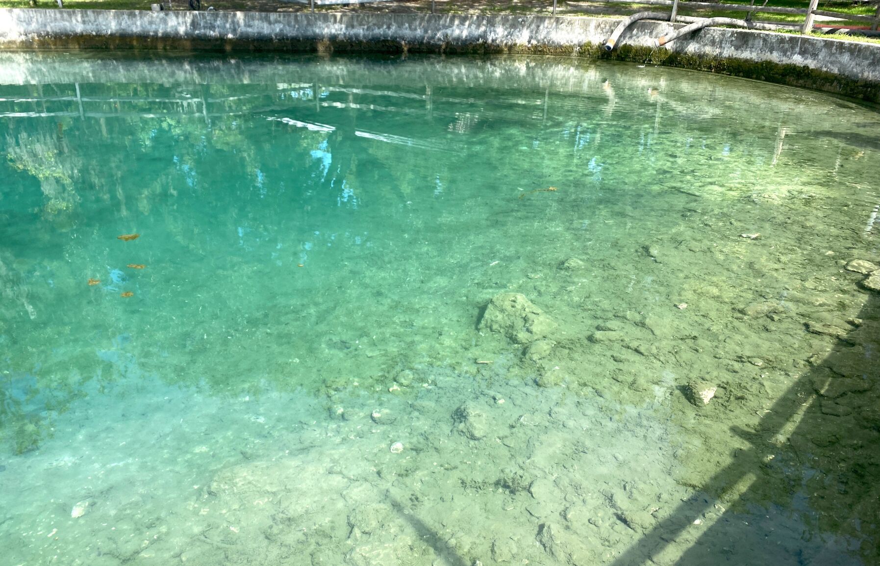 Little Springs After Cleanup